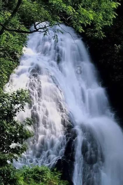 宝可梦探险寻宝